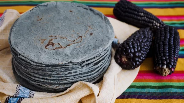 Taller de Tortillas