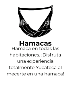 Contamos con WiFi Starlink. El mejor internet de la zona. Disponible en habitaciones, alberca y jardines. (13)