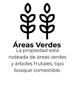 Contamos con WiFi Starlink. El mejor internet de la zona. Disponible en habitaciones, alberca y jardines. (14)