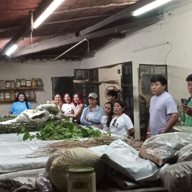 WhatsApp Image 2025-09-03 at 9.33.09 AM