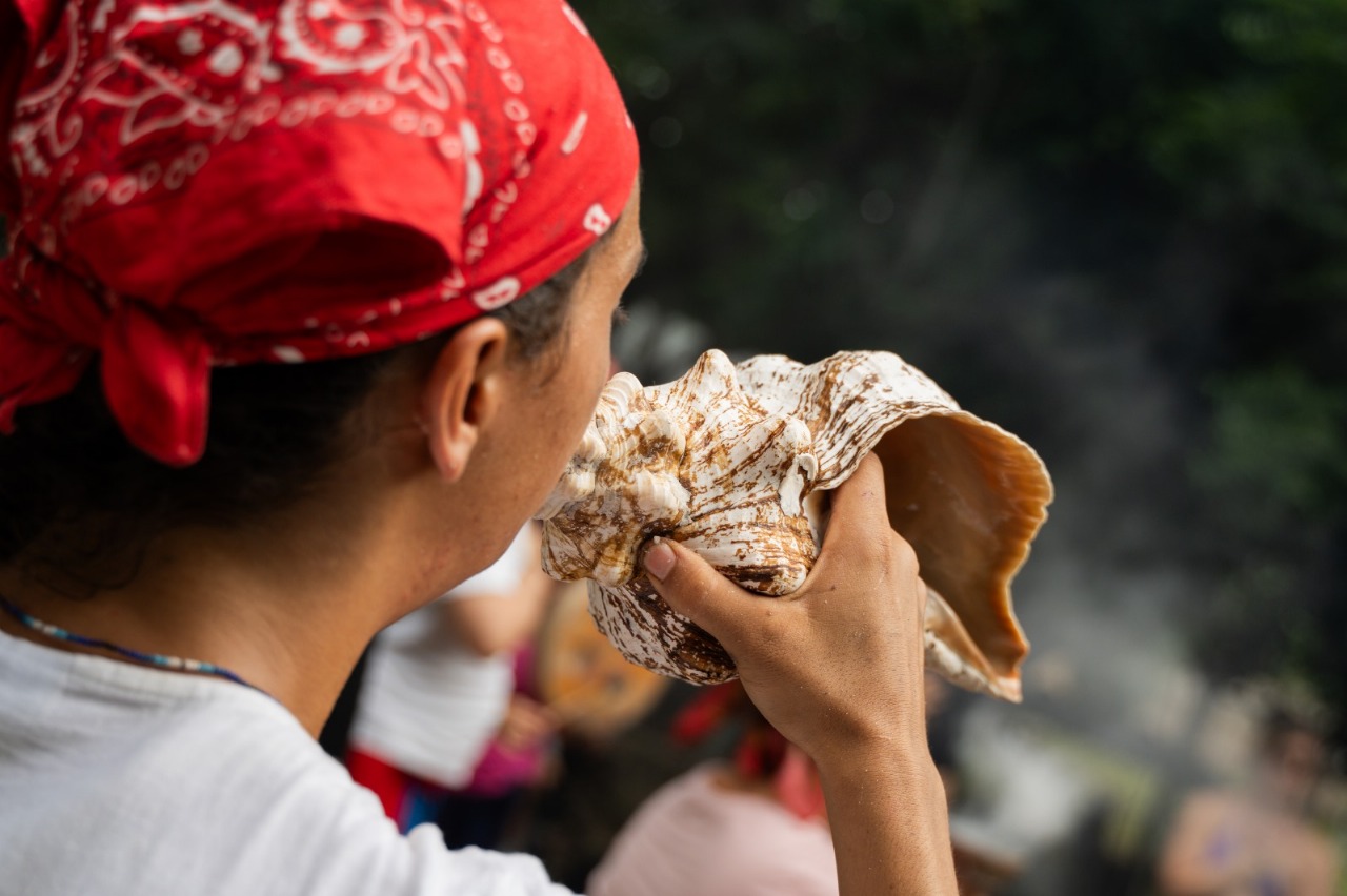 Musicoterapia con Danza Prehispánica - Image 3