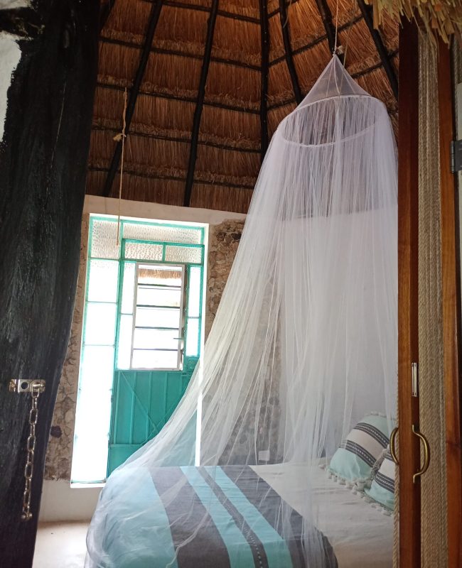 IMG_20250524_132211060_MFNR