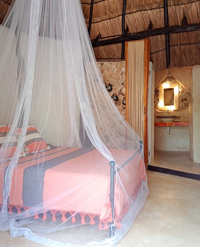 IMG_20250524_134206935_MFNR